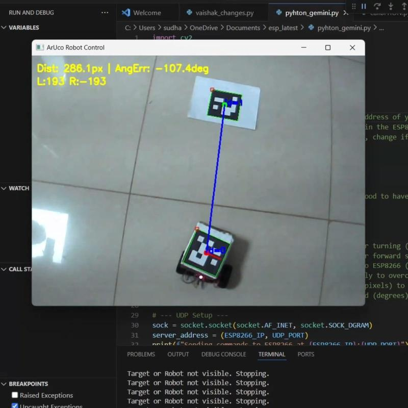 Differential Robot